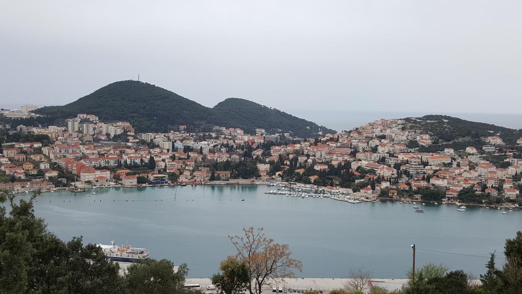 Pavo Dubrovnik