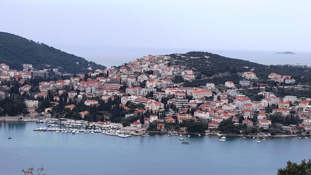 Pavo Dubrovnik