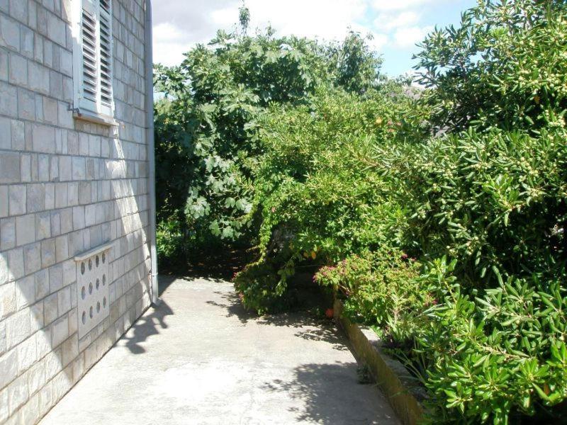 Pavo Apartment *